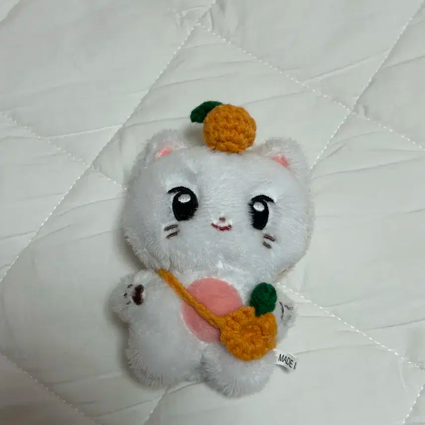 성한빈 햄냥빈 사진 그대로 양도 덤