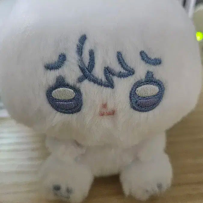 플레이브 비공식 굿즈 예쫑이