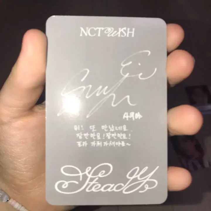 엔시티위시 사쿠야 스테디 앨범포카