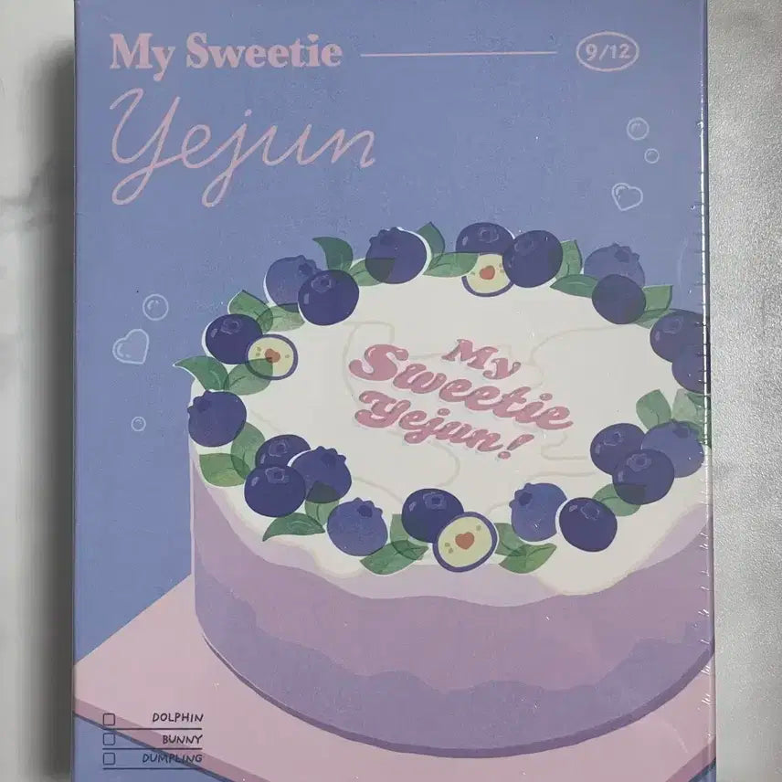 플레이브 예준 생일 키트 미개봉