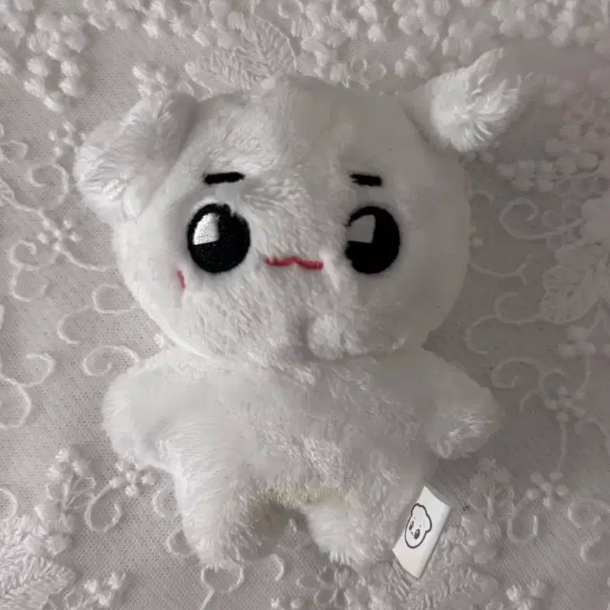 툥야 양도