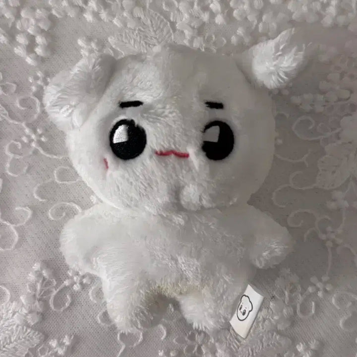 툥야 양도