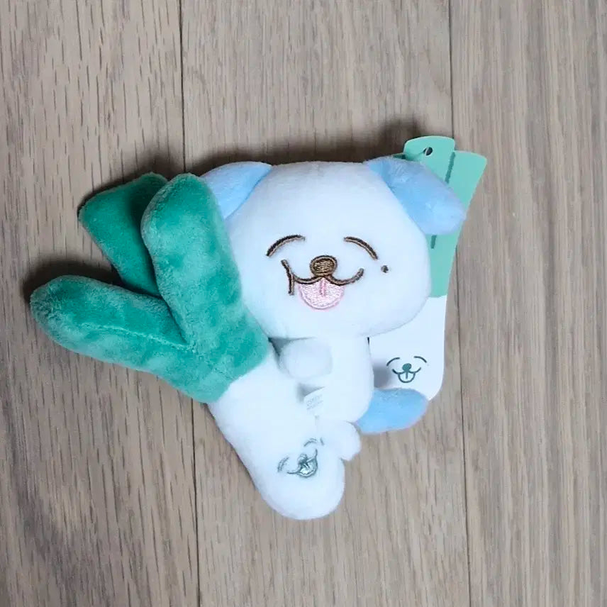 엔시티 드림 제노 대파 므엉이 양도