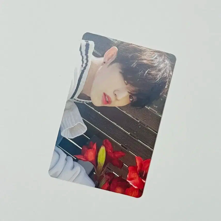 세븐틴 틴에이지 박수 화이트 에스쿱스 포카 박화쿱