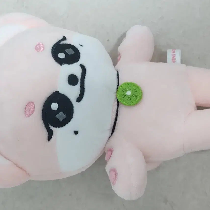 미니브 이랑이