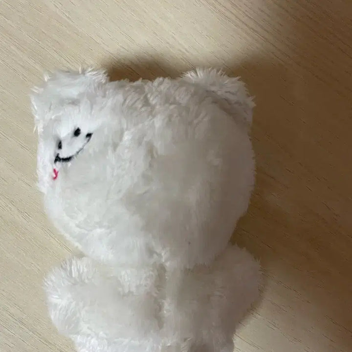 지성인형 양도합니다:)
