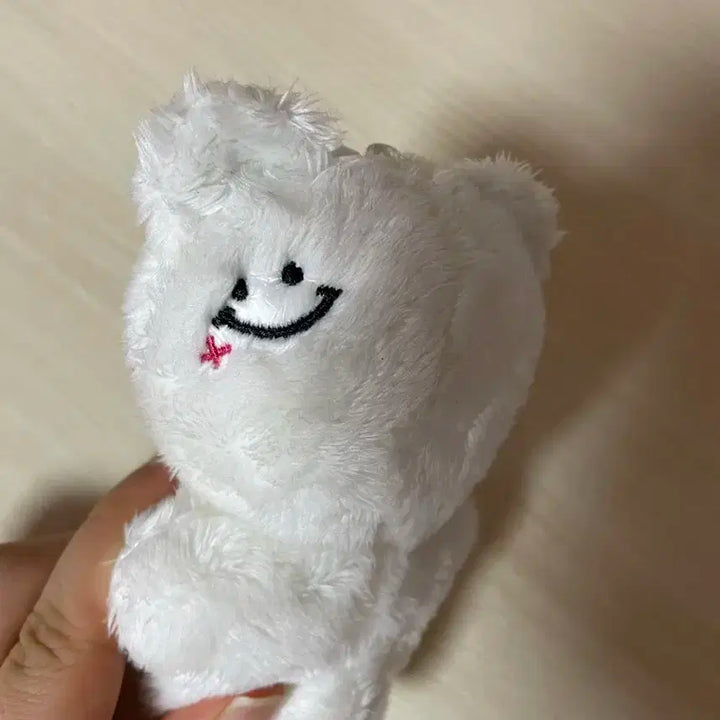 지성인형 양도합니다:)