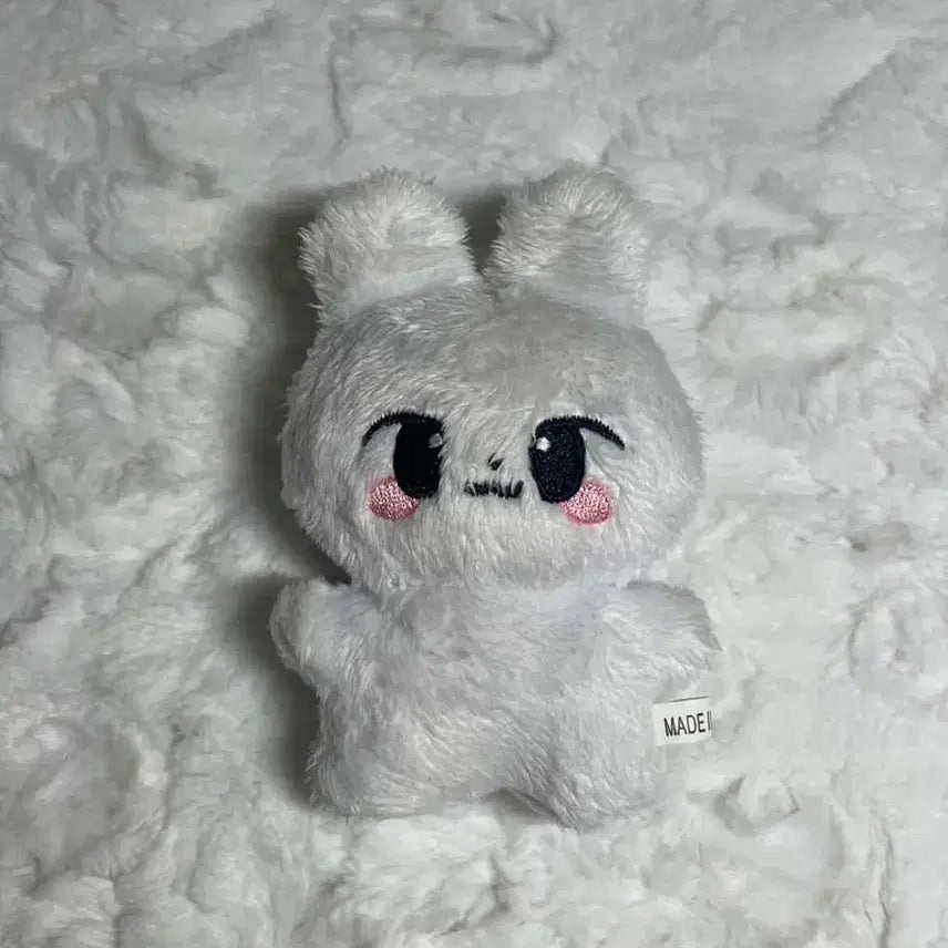 급처)) 스키즈 뽀리