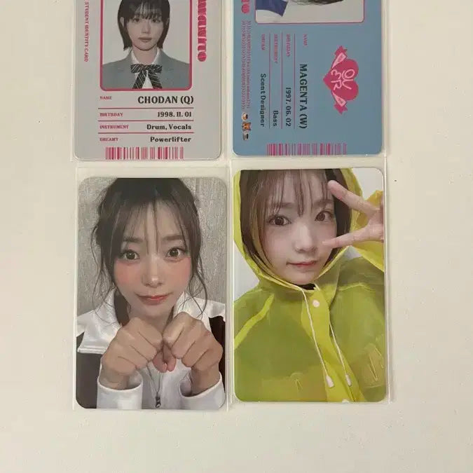 사진 더 있음) qwer포카 일괄싸게팔아요 쵸단마젠타히나시연
