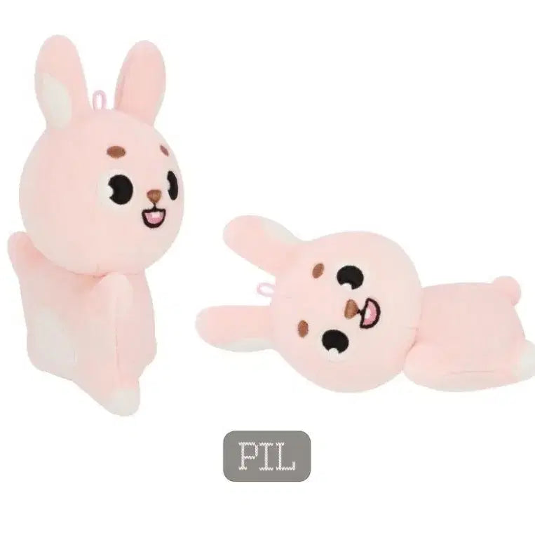 데이식스 데니멀즈 손난로 핸드워머 필끼