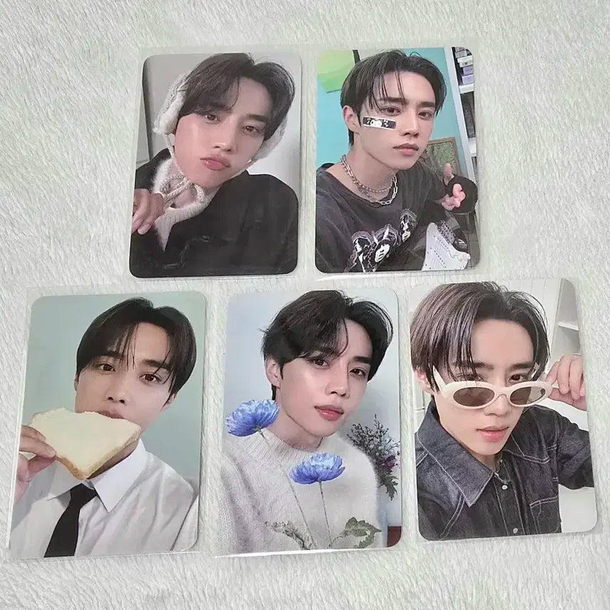 더보이즈 선우 떤디힐 포카 일괄 양도