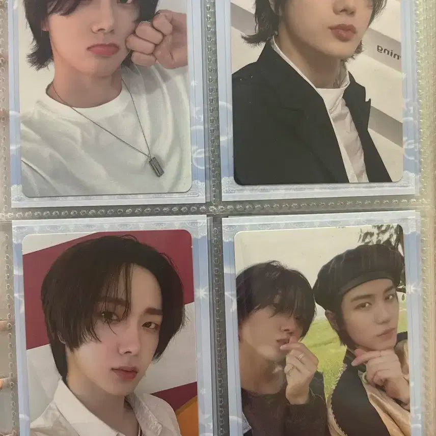 보넥도 성호포카 일괄