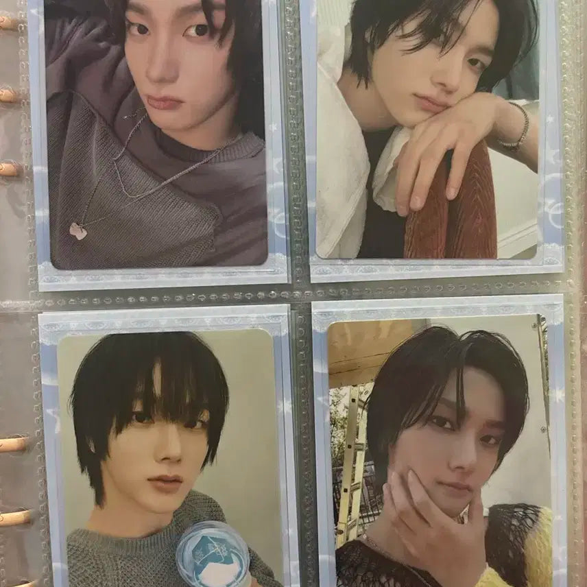 보넥도 성호포카 일괄