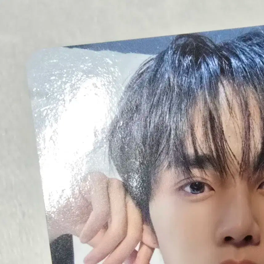 더보이즈 선우 콘서트 엠디 포카 일괄 양도