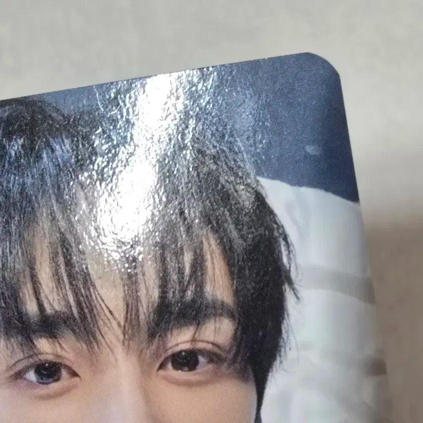더보이즈 선우 콘서트 엠디 포카 일괄 양도