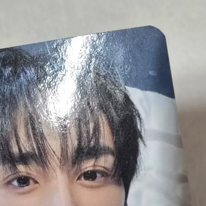 더보이즈 선우 콘서트 엠디 포카 일괄 양도