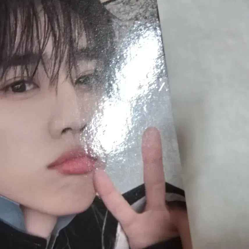 더보이즈 선우 콘서트 엠디 포카 일괄 양도