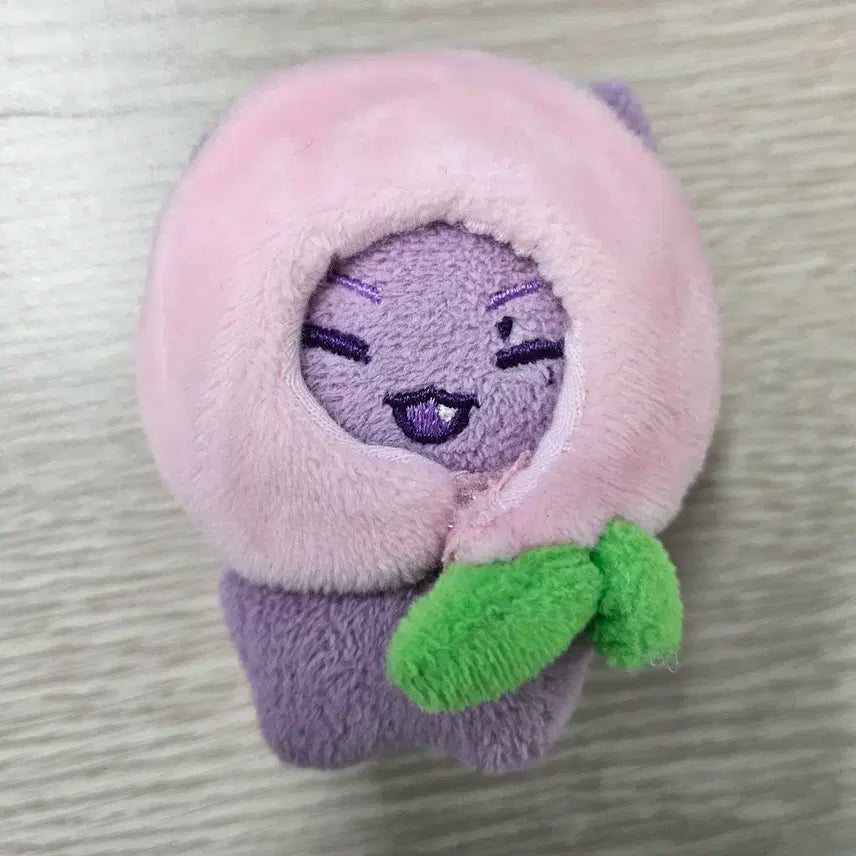 삭냥이 (비공인형)