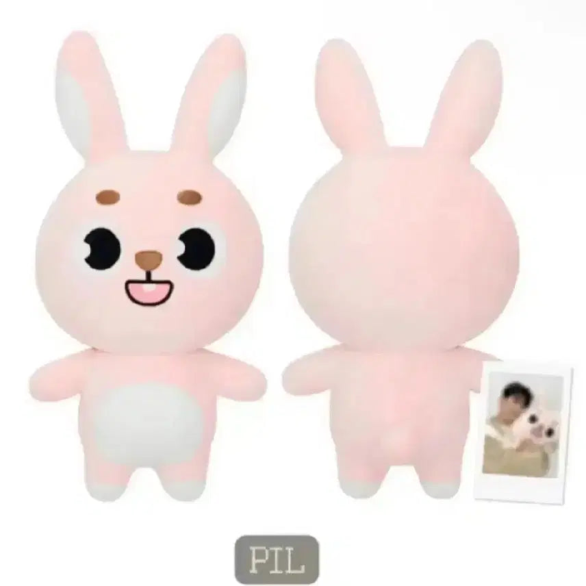 데이식스 데니멀즈 자이언트 필끼