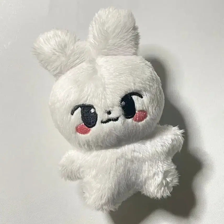 스트레이키즈 스키즈 리노 뽀리 인형 스키주 비공굿 양도