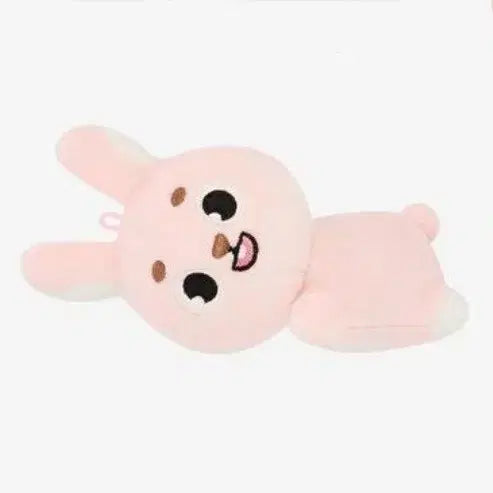 데이식스 원필 데니멀즈 손난로 핸드워머 필끼