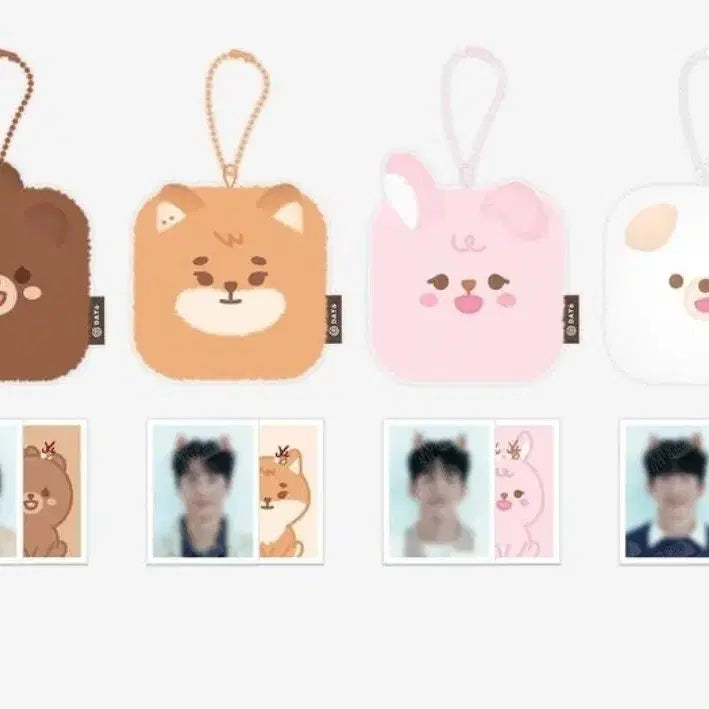 데이식스 원필 쁘띠멀즈 증사홀더 필끼