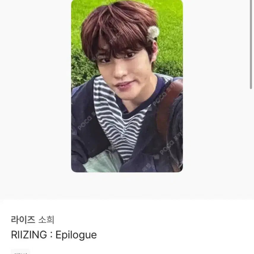 라이즈 소희 포카