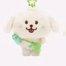 엔시티위시 위시돌 댕트리버 재희 인형 양도