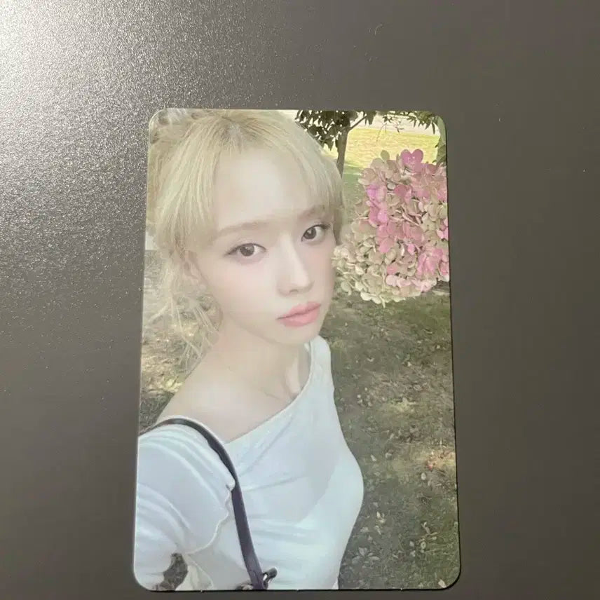 에스파 윈터 위플래쉬 럭드