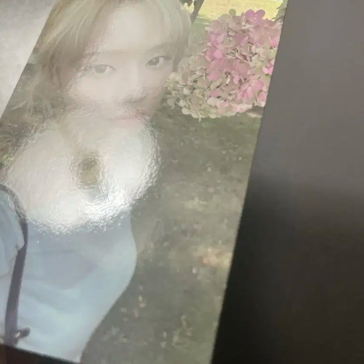 에스파 윈터 위플래쉬 럭드