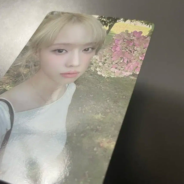 에스파 윈터 위플래쉬 럭드