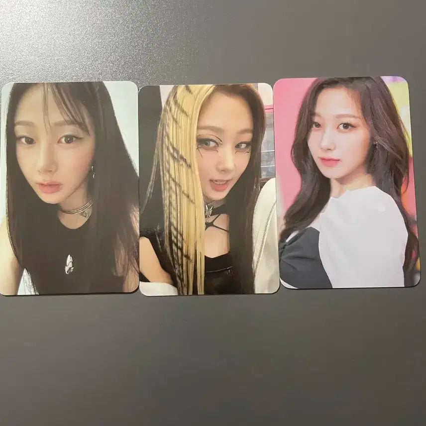 지젤 포카 일괄