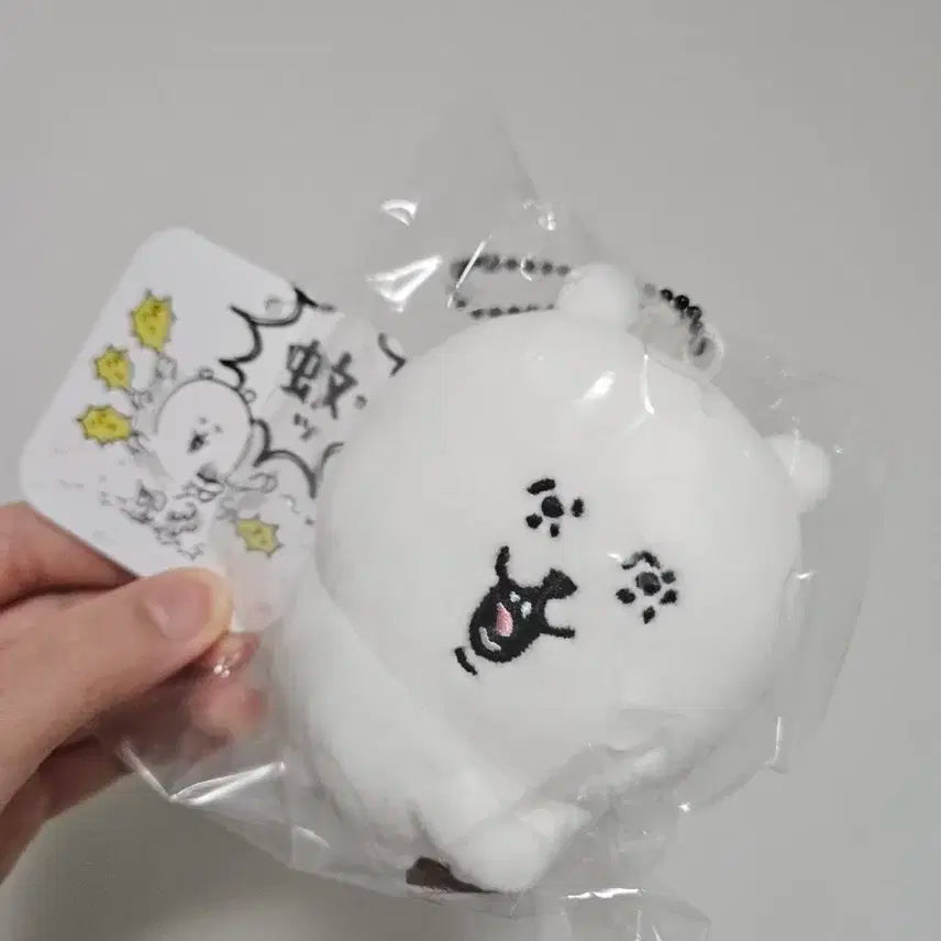 모기잡곰 농담곰 나가노 마켓