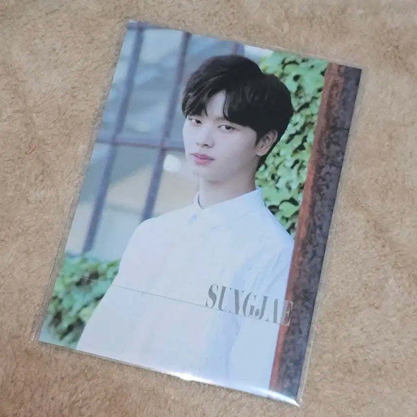 육성재 LUV 일본 앨범 포카 _ 비투비