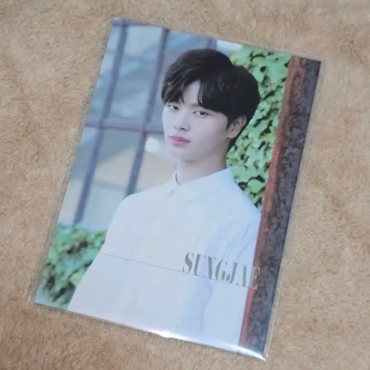 육성재 LUV 일본 앨범 포카 _ 비투비