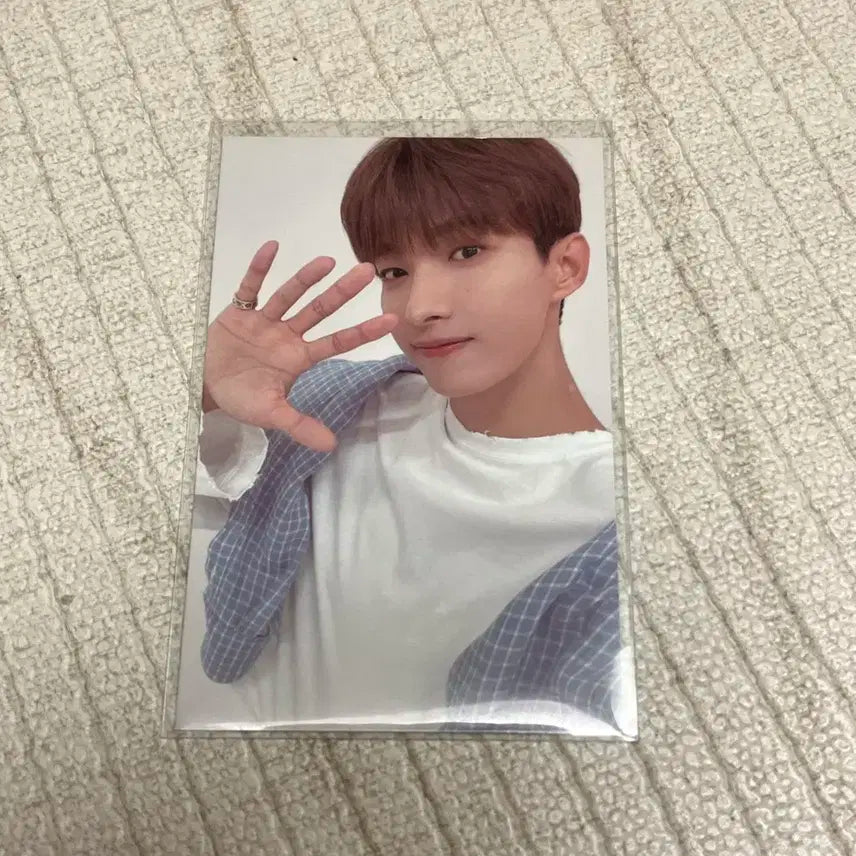 세븐틴 도겸 캐럿랜드 2021 포카 양도 판매