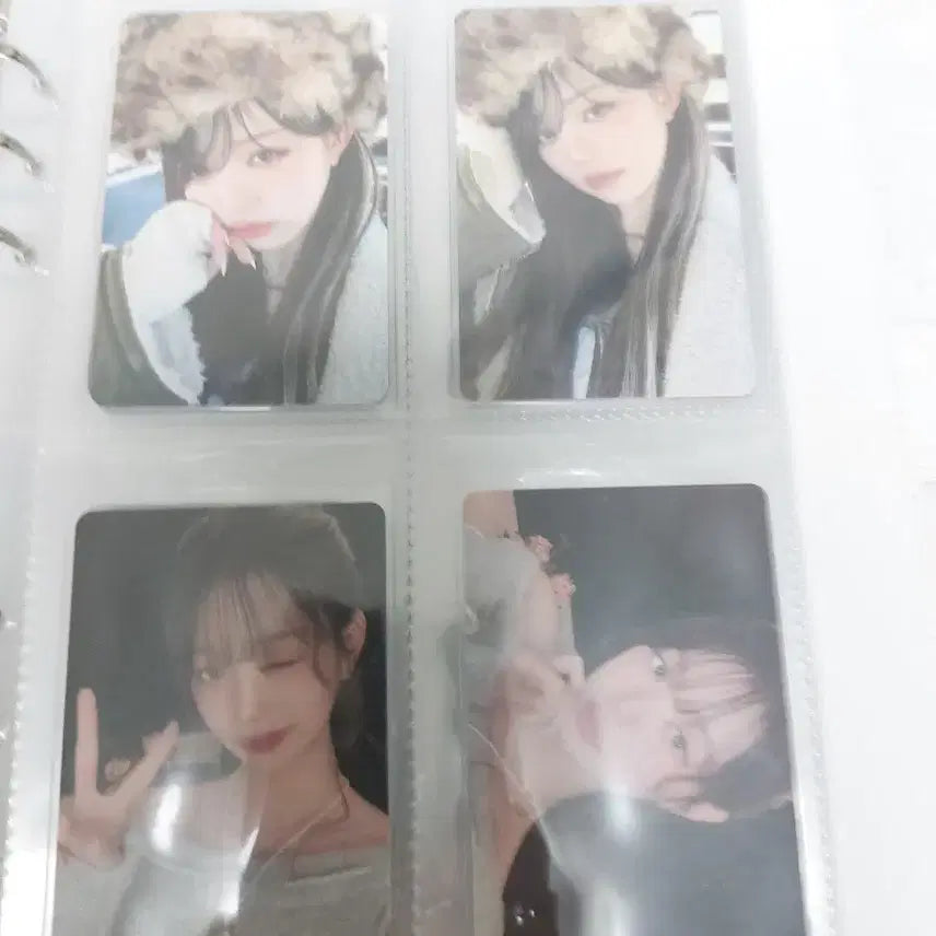 아이브 일괄 포카 판매