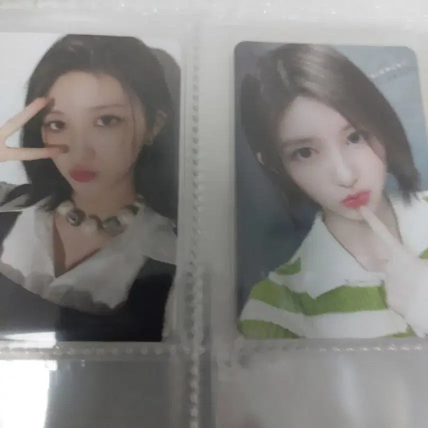 아이브 일괄 포카 판매