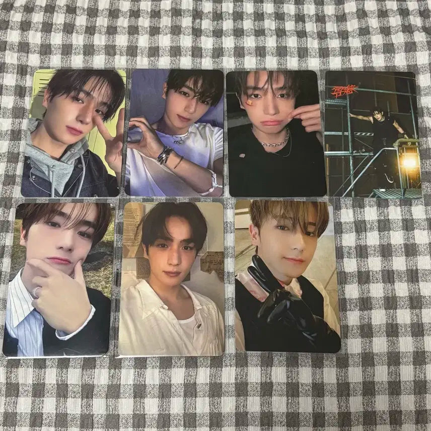 더보이즈 현재 포카 일괄