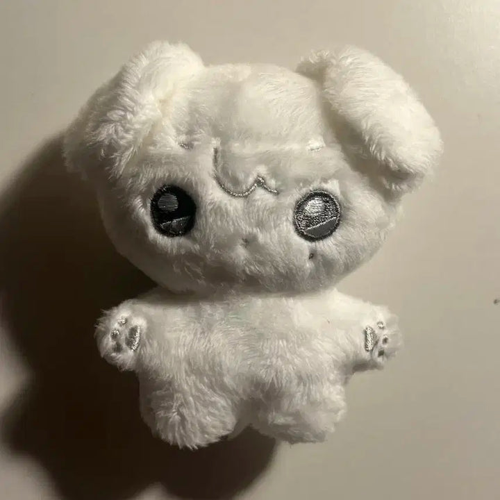 겸짱 양도합니다