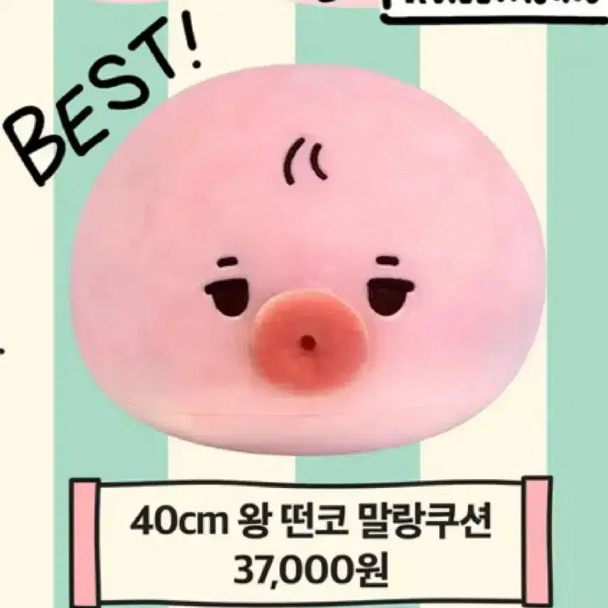 (원가 이하)대왕 떤코 팔아요