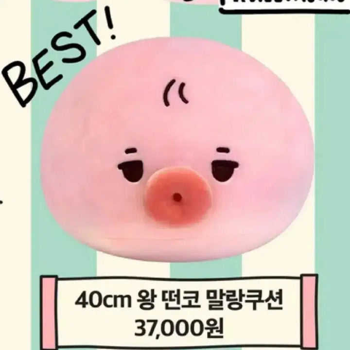 (원가 이하)대왕 떤코 팔아요