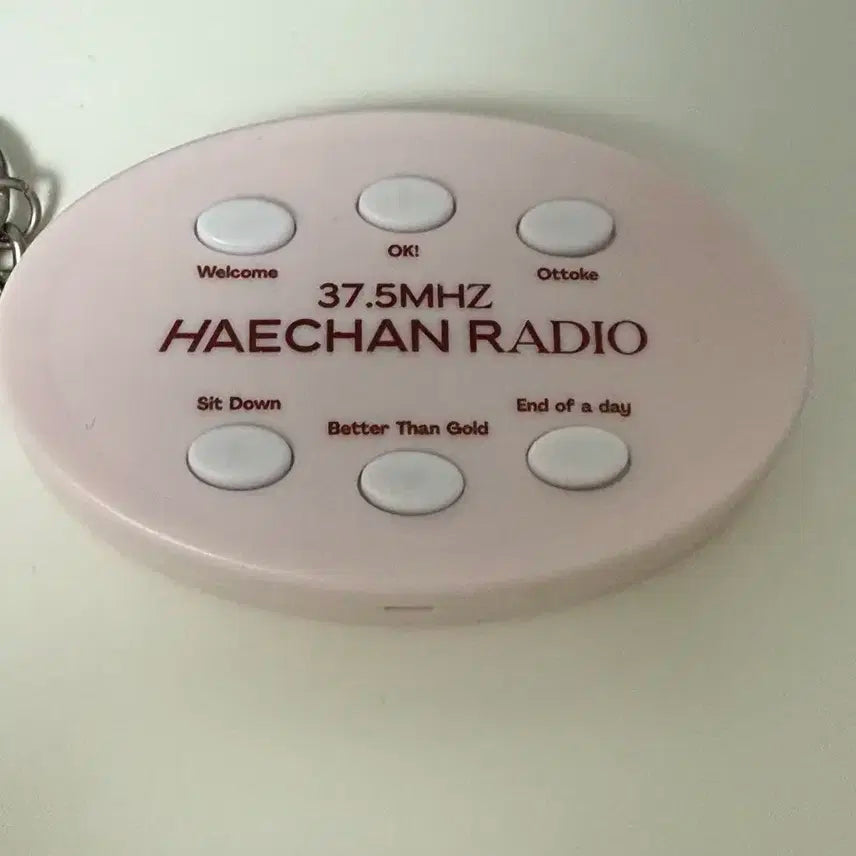 엔시티 해찬 보이스키링 양도