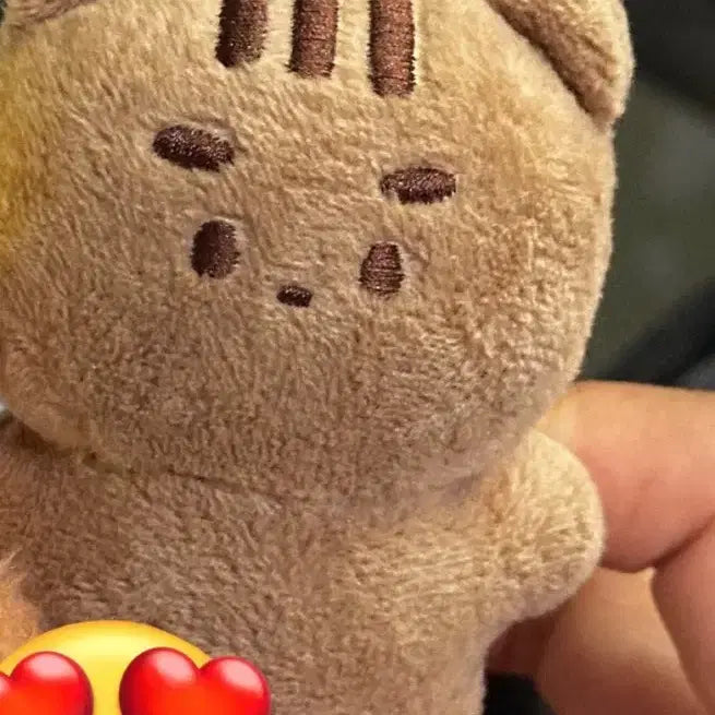 데이식스 원필 필람쥐 양도