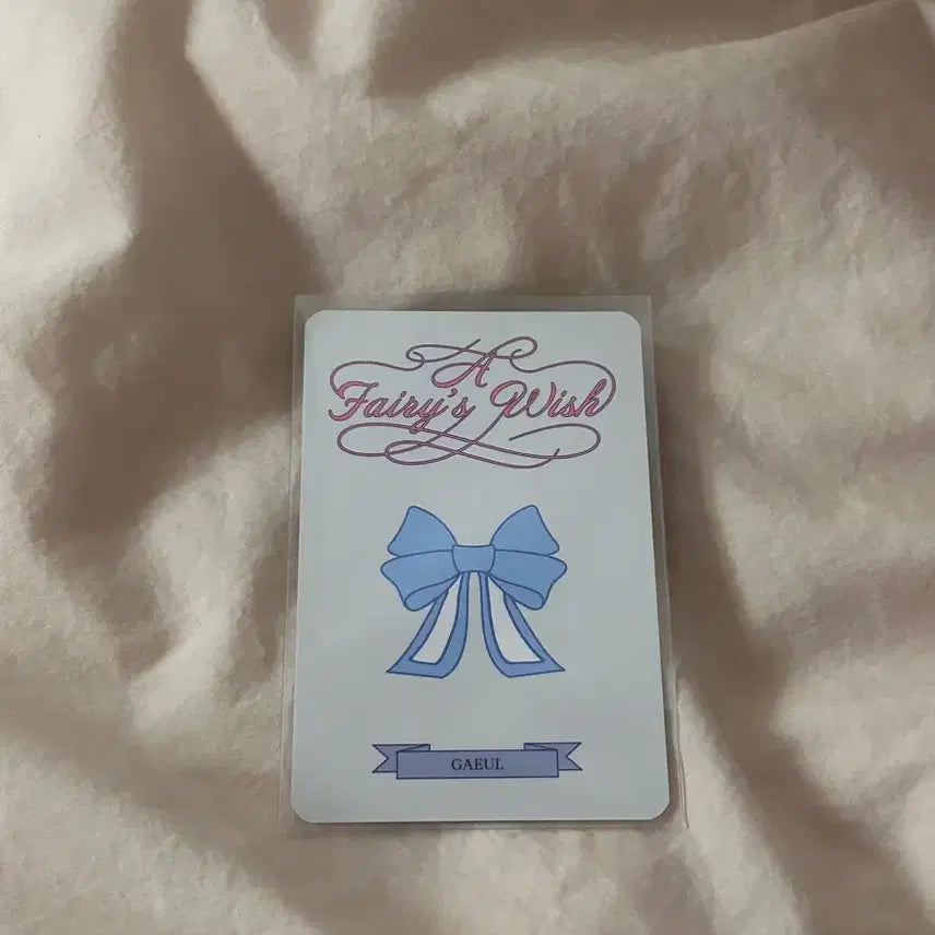 아이브 리즈 포카
