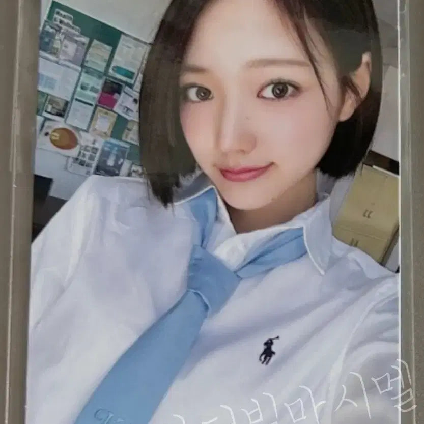 키키 kiiikiii 지유 공방포카 사녹 역조공 수이 이솔 하음 키야