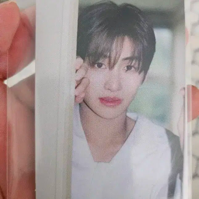 투어스 tws 지훈 하지메마시데 앨포