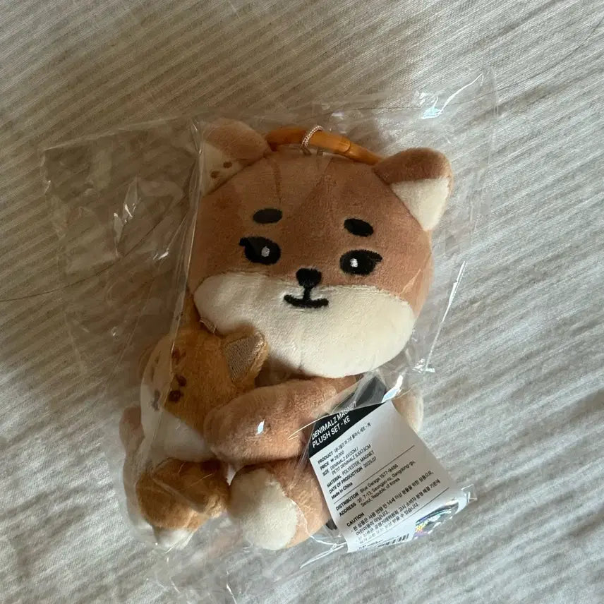 데이식스 데니멀즈 마그넷 나안아 케