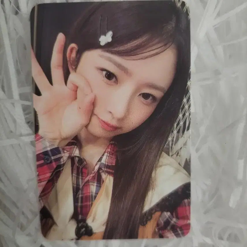 아이브 앙콘 다이브존 레이 콘서트 포카 양도
