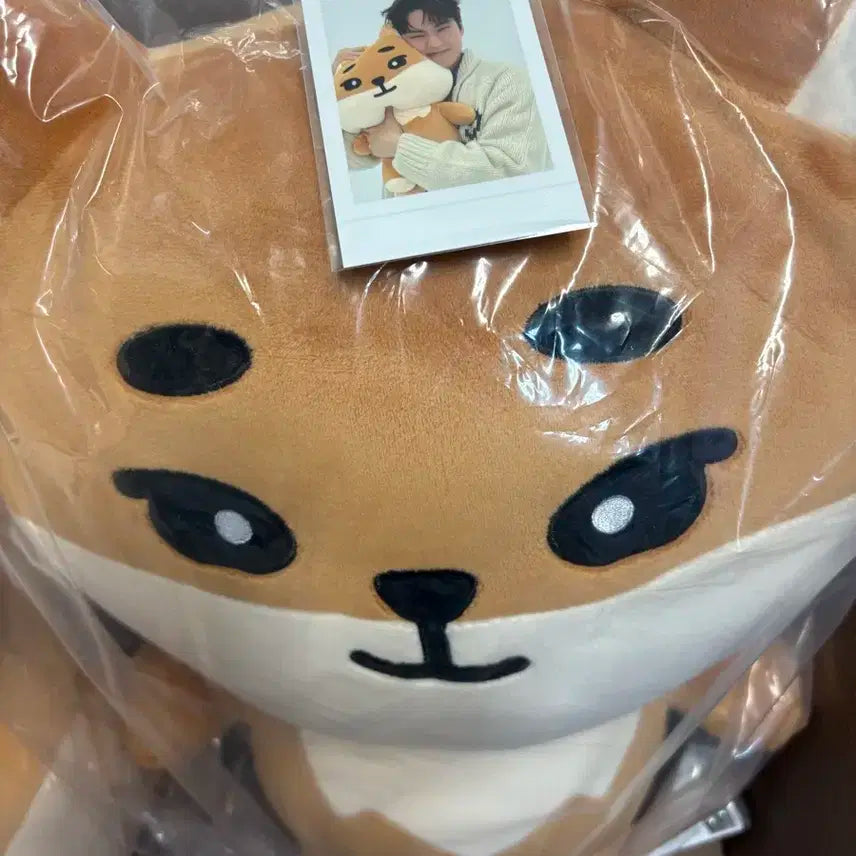 데니멀즈 영케이 인형 케